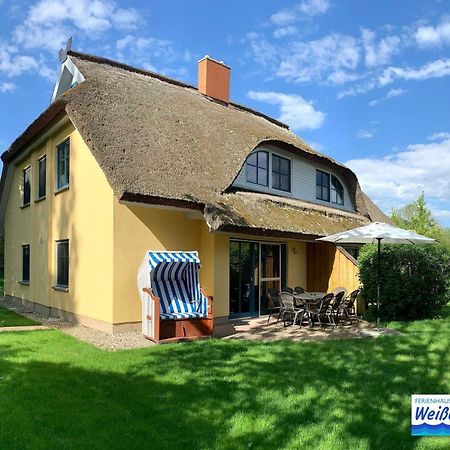 Vila Familienfreundliches Reetdachhaus Weissdorn 2 Puddemin Exteriér fotografie
